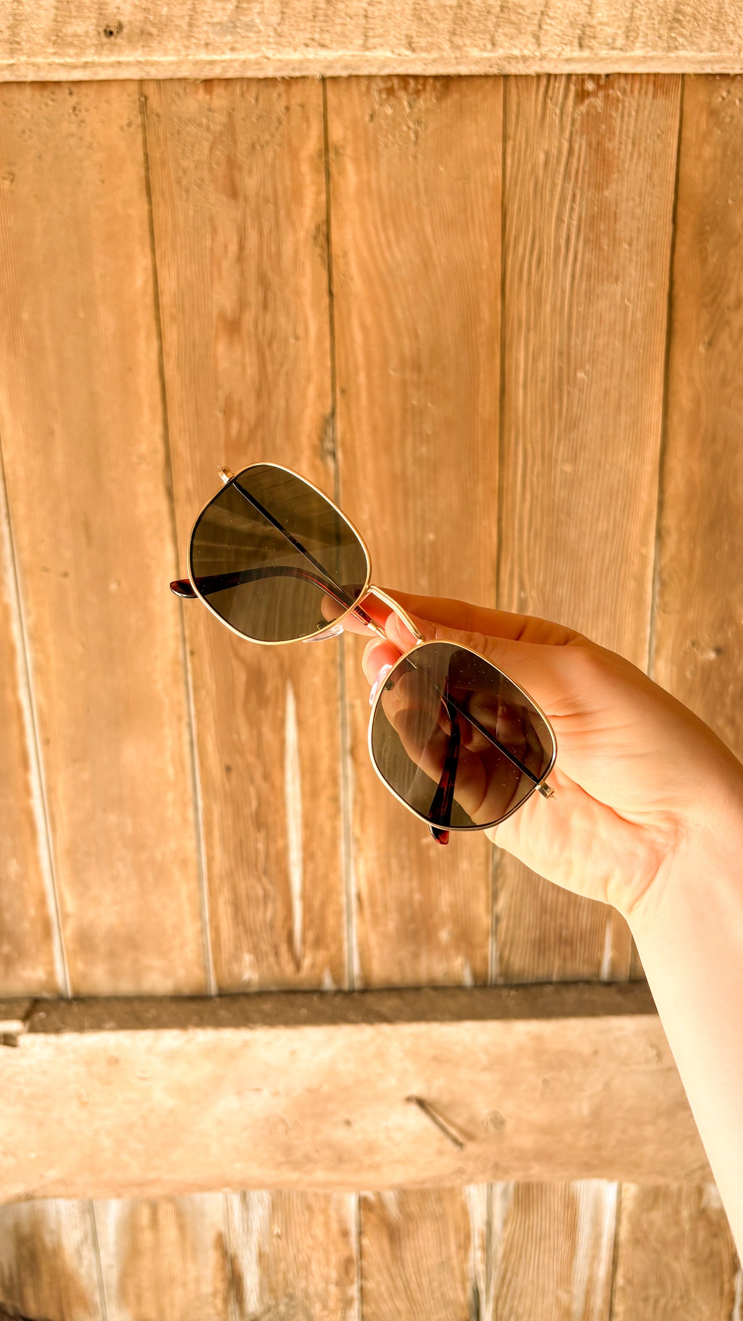 ROUND SUNNIES