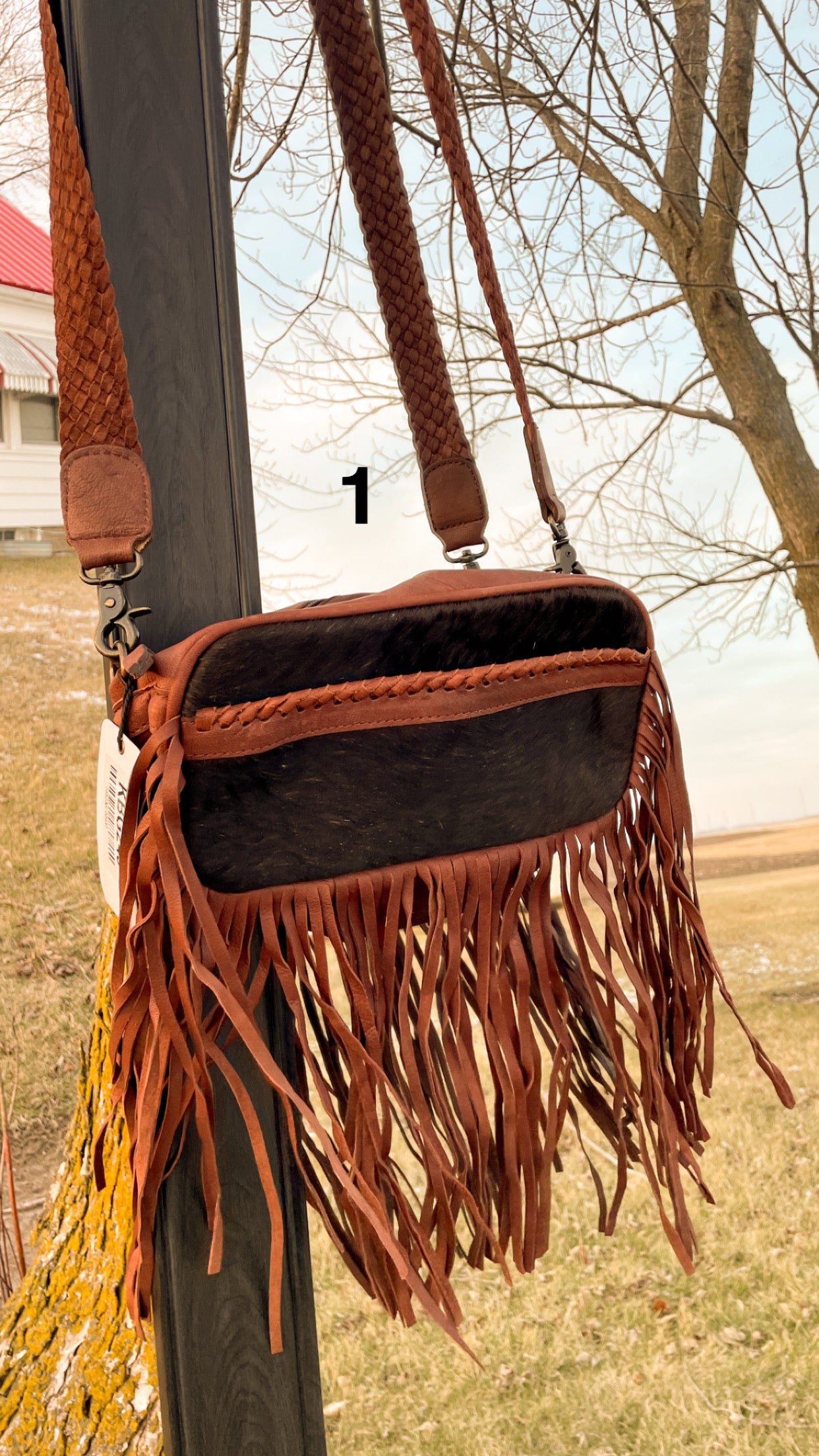 THE OUTLAW PURSE