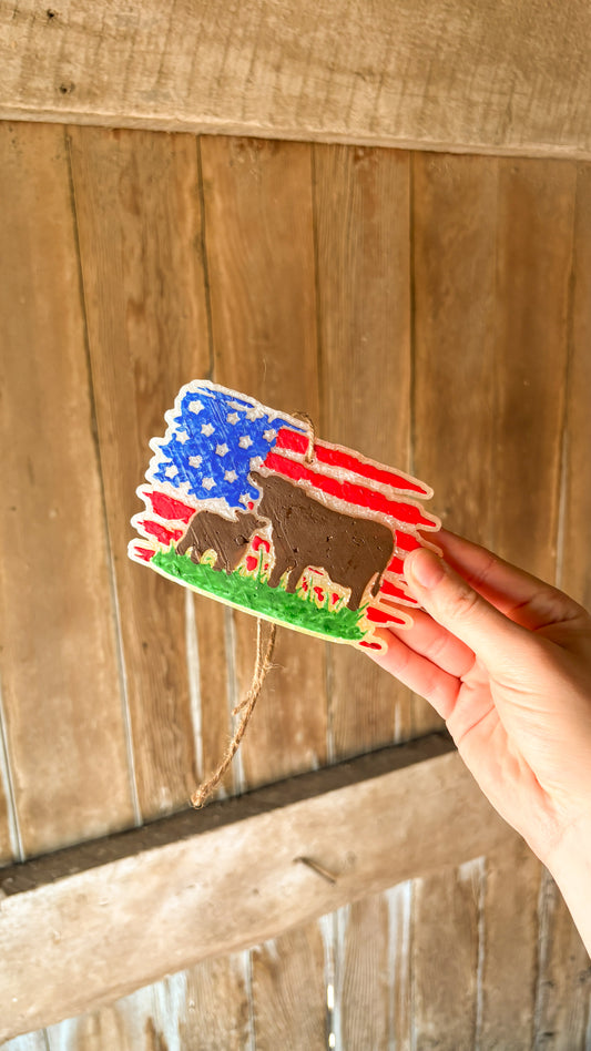 AMERICAN FLAG BEEF FRESHIE