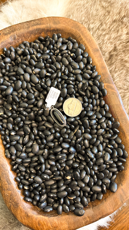 OVAL BLACK ONYX PENDANT BY SCOTT SKEETS