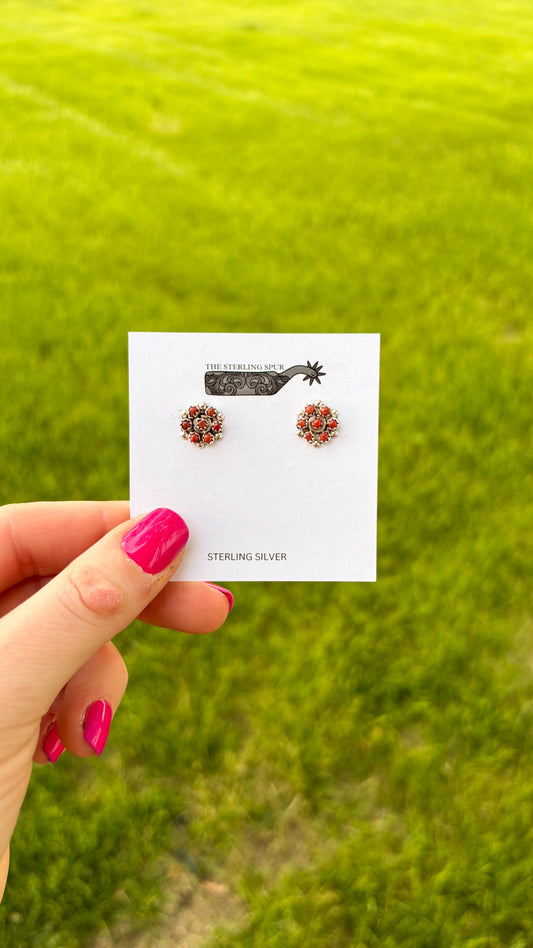 MINI CORRAL CLUSTERS